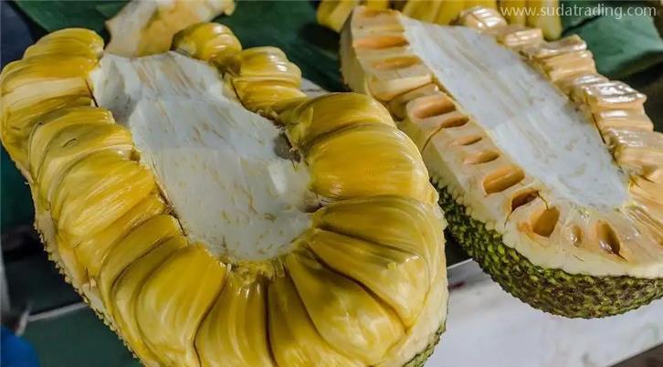 菠蘿蜜進口清關(guān)代理一般貿(mào)易一站式服務(wù)