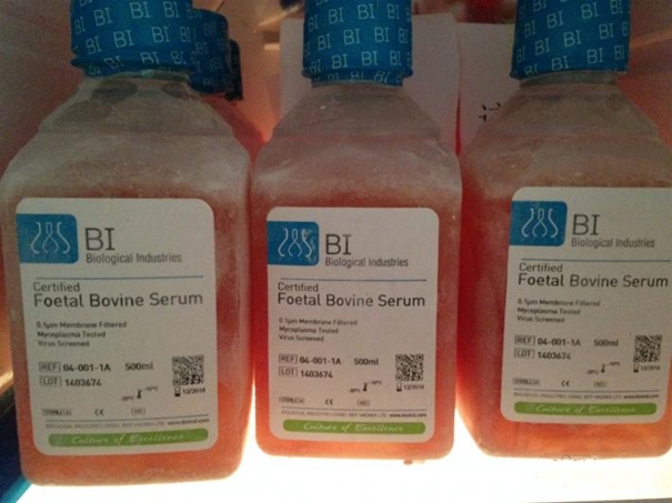 生物制品進(jìn)口清關(guān)代理需要多長時間