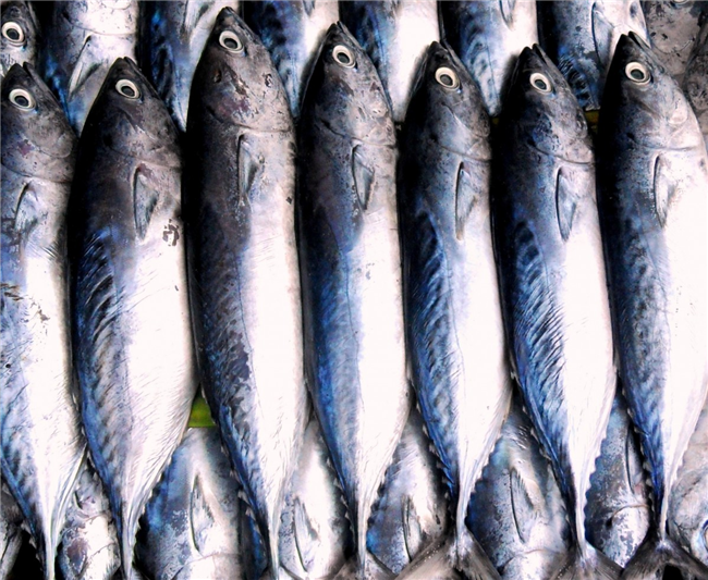 上海水產(chǎn)品進口報關你要了解這些難點細節(jié)
