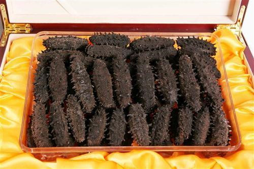 干海參進口清關專業(yè)代理流程以及清關路線推薦