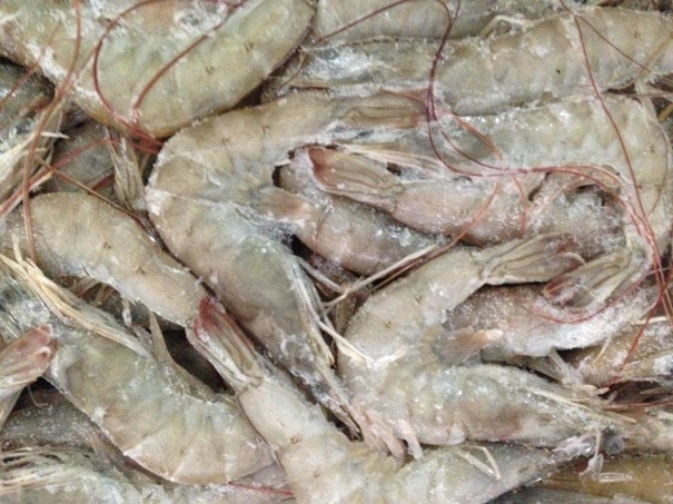 冷凍水產(chǎn)品進口清關(guān)資料簡介進口水產(chǎn)品標簽問題