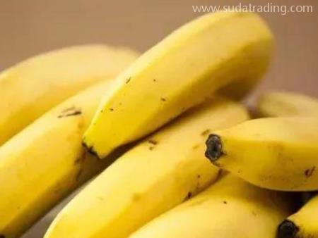 菲律賓香蕉廣州老港進(jìn)口報(bào)關(guān)前要了解這幾件事！