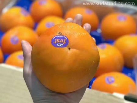 新西蘭柿子空運進口報關(guān)資料與申報要素