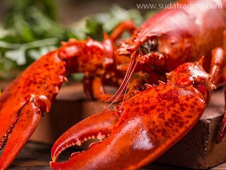 龍蝦進(jìn)口報關(guān)流程與所需資料都在這！