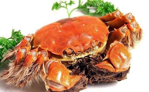 青島水產(chǎn)品進口報關公司[提供清關指導]