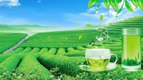 上海茶葉進口報關(guān)代理需要哪些單證資料？進口流程是怎樣的？