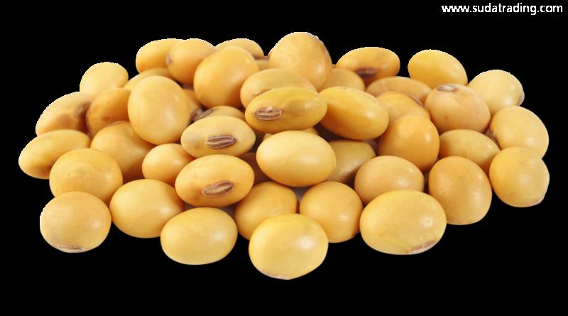 進(jìn)口大豆所需單證有哪些？