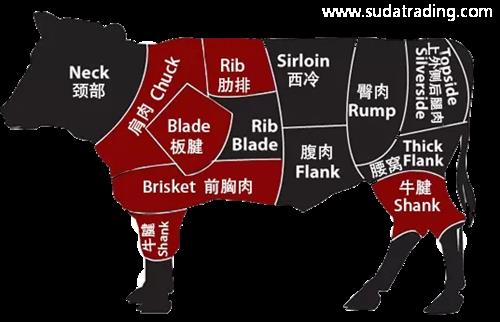 進口牛肉怎樣規(guī)范申報？