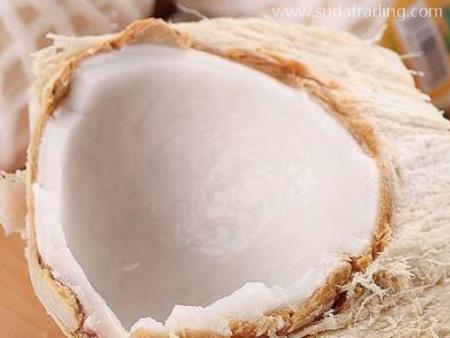 泰國椰青東莞代理報關要點內容！