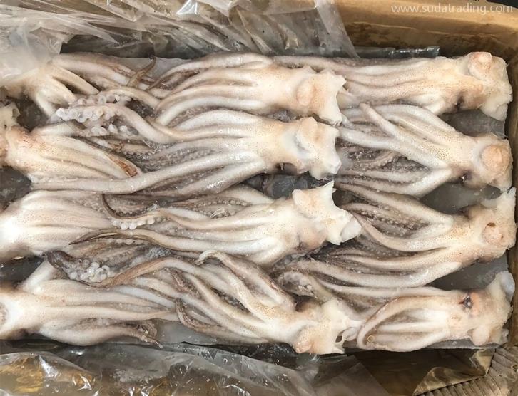 冷凍魷魚進(jìn)口報關(guān)的注意事項(xiàng)以及流程手續(xù)