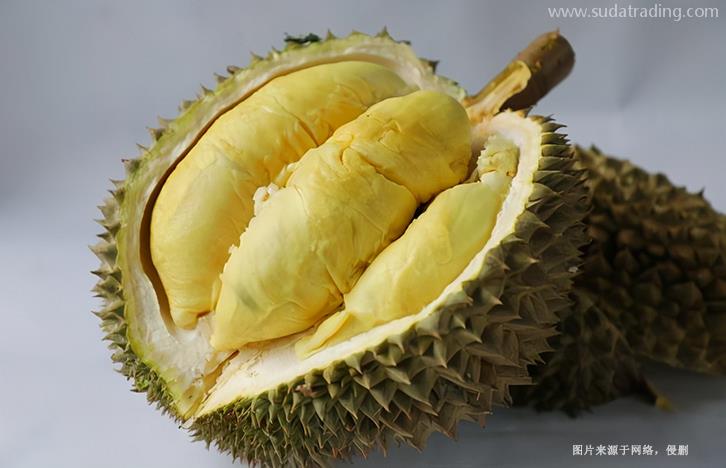越南榴蓮進口清關(guān)資料提供這6樣-19年水果報關(guān)行