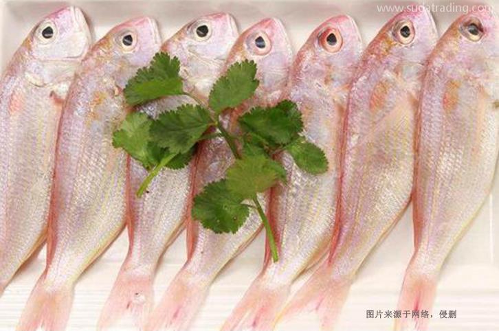 印尼冰鮮魚進口清關流程8樣-19年冷凍水產品報關行