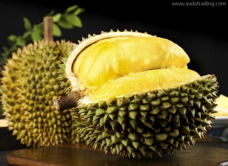 上海進口菲律賓榴蓮報關(guān)資料-19年新鮮水果報關(guān)行