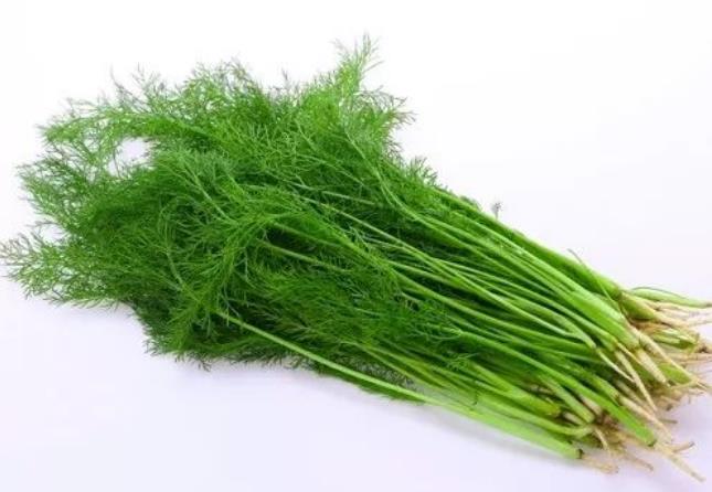 茴香進(jìn)口報關(guān)清關(guān)流程