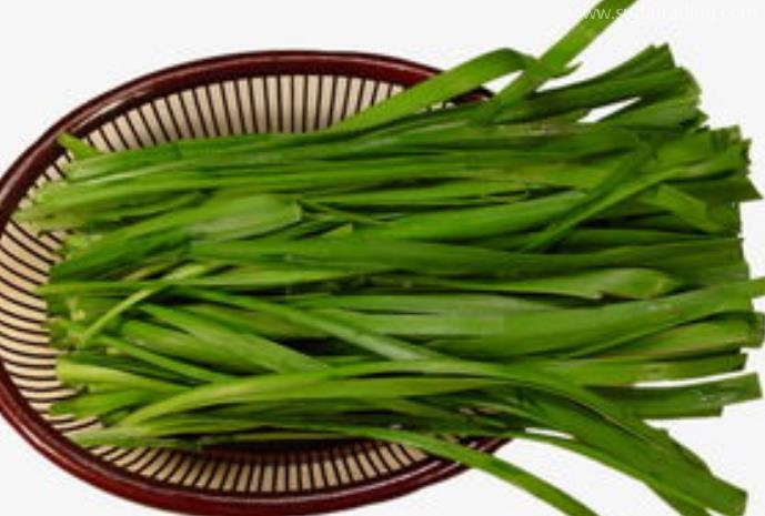 韭菜進(jìn)口報關(guān)清關(guān)知識有哪些？