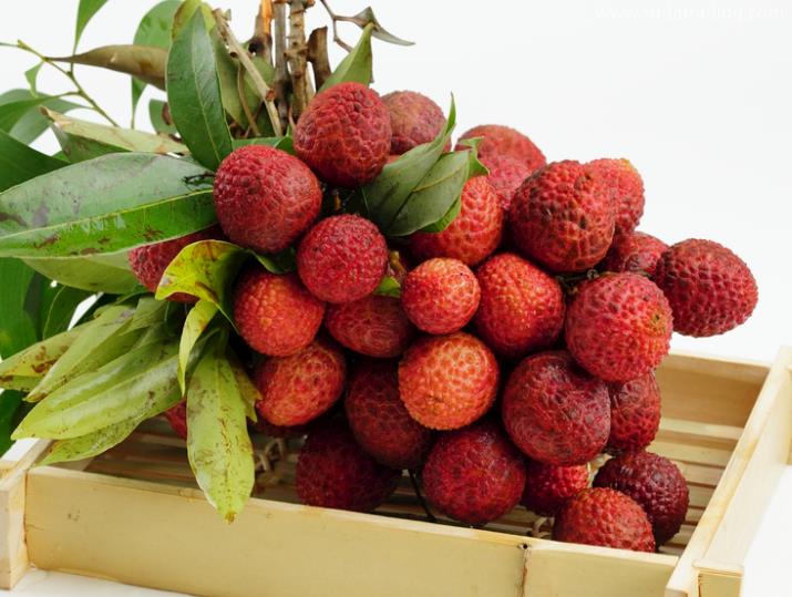 鮮荔枝進(jìn)口申報(bào)要素及稅號