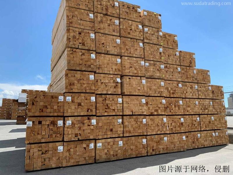 白俄羅斯進(jìn)口報(bào)關(guān)公司哪家好？白俄羅斯木材清關(guān)流程