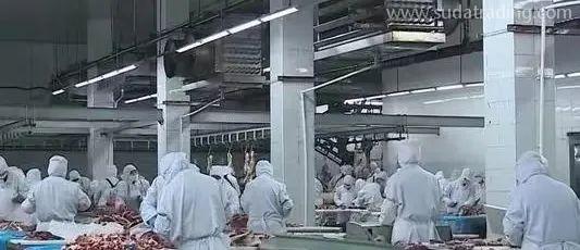 【進口知識】進口俄羅斯牛肉檢驗檢疫和衛(wèi)生要求