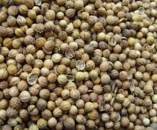 香菜籽的進(jìn)口清關(guān)流程及所需資料